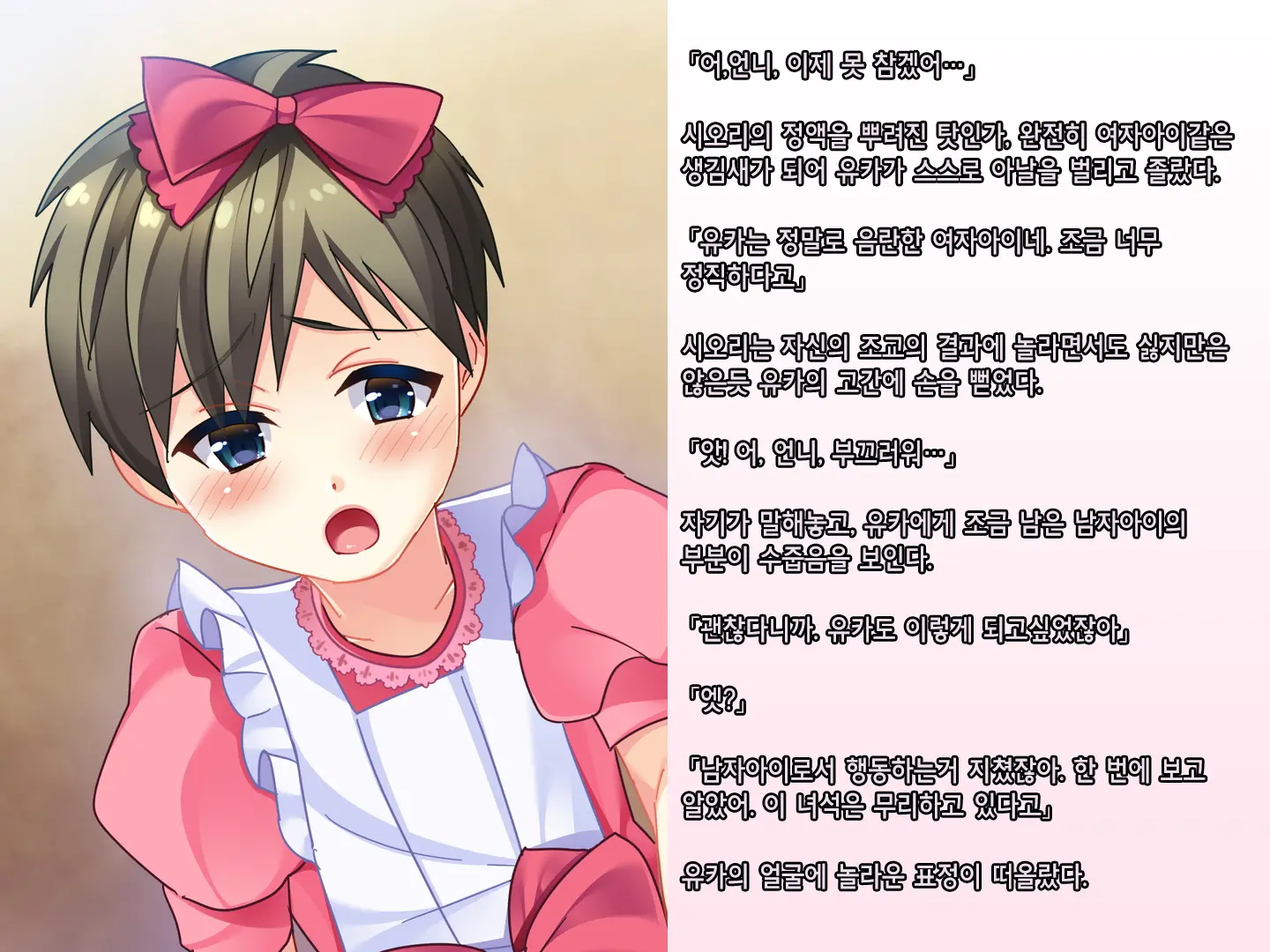 Skirt No Keibaku ~Furyou Shoujo Kyousei Shisetsu Nite Futanari Shoujo-Tachi Ni Josou Choukyou Sareru Furyou Shounen-Tachi~